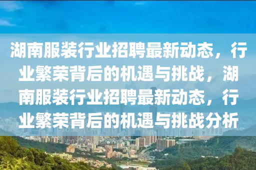 香港资料免费资料大全高效解答、专家解析解释与落实,杜绝误导性诱导