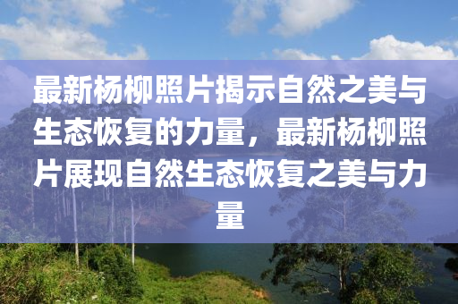 质问:香港和澳门资料免费资料大全或77777888管家婆四肖四码揭秘芳草-根源解答、解释与落实,杜绝虚假的假诱导