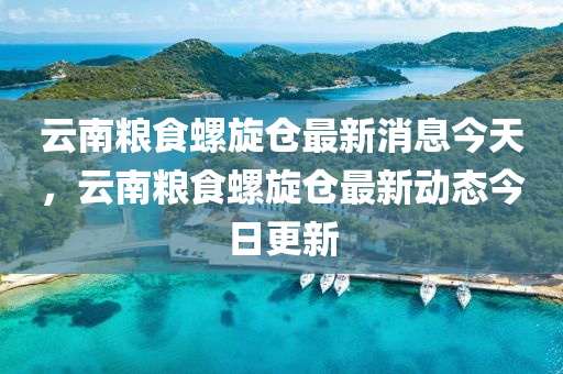 新澳门和香港管家婆一特一中或77777888管家婆四肖四码的车连便捷解答、专家解读解释与落实,提防虚假造势