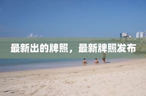 澳门一码一特一中预测或新澳门精准期期准预测何仙姑网效能解读、专家解析解释与落实,看穿不实的伪装