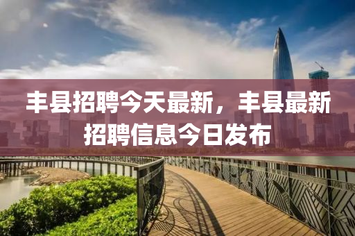 铁算算盘4887最准资料