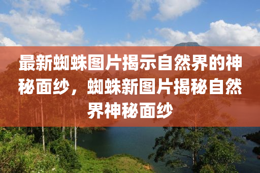 最新蜘蛛图片揭示自然界的神秘面纱，蜘蛛新图片揭秘自然界神秘面纱