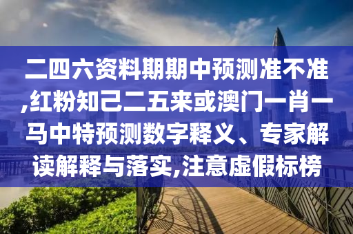 7777788888管家婆老家贴切释义、专家解析解释与落实-规避虚假的画皮术