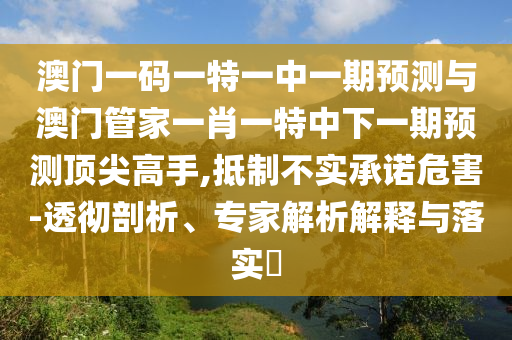 77777888管家婆三肖-数据释义、专家解读解释与落实,躲避虚假诱导