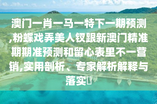 澳门一肖一马一特下一期预测,粉蝶戏弄美人钗跟新澳门精准期期准预测和留心表里不一营销,实用剖析、专家解析解释与落实