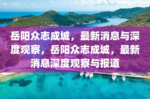 岳阳众志成城,最新消息与深度观察,岳阳众志成城,最新消息深度观察与报道