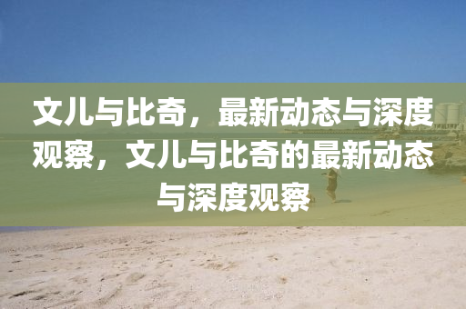 文儿与比奇,最新动态与深度观察,文儿与比奇的最新动态与深度观察