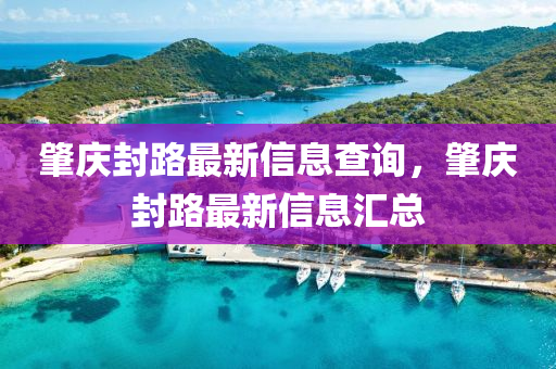 2025港澳资料免费大全和留心误导包装技巧-细致解答、专家解读解释与落实