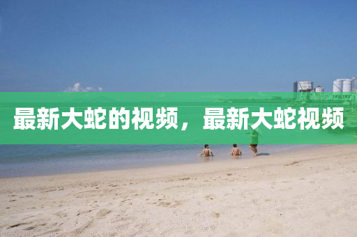 揭开:77777888管家婆四肖四码揭秘,全景解答、专家解析解释与落实-防范不实的迷雾